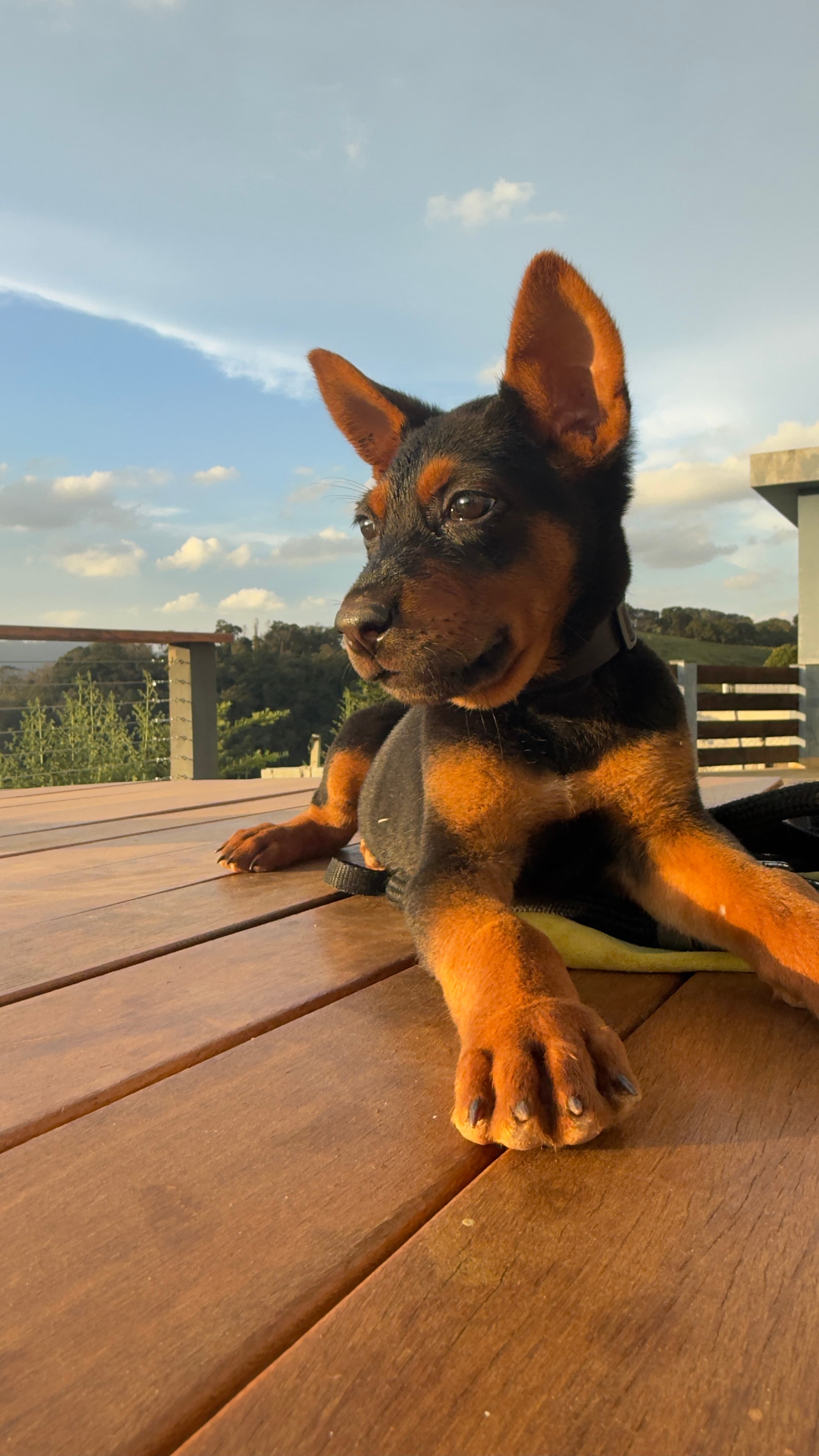 Anton Laizhou Hong Brasil - foto